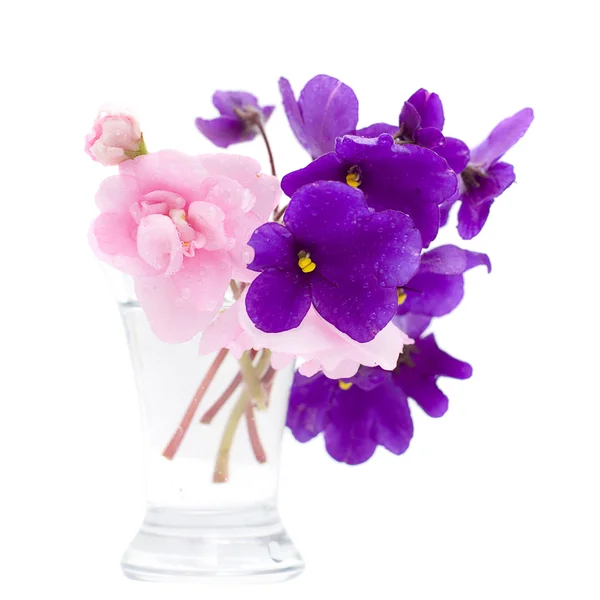 Тропические цветы в вазе изолированы — стоковое фото