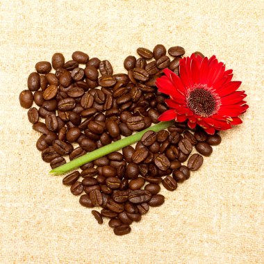 Heart - coffee and red flower on background clipart