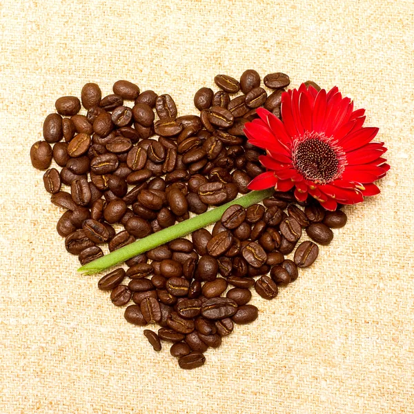 Сердце - кофе и красный цветок на заднем плане — стоковое фото