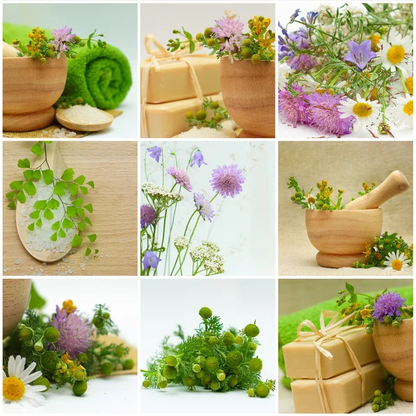 Collage - Alternative Medicine and Herbal Treatment — Stock Photo, Image