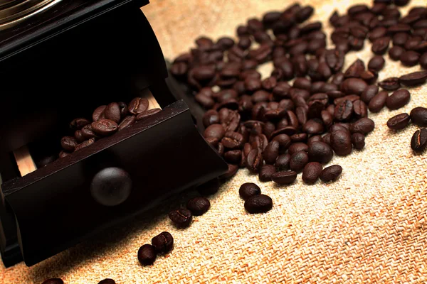 在背景上的褐色咖啡豆 — 图库照片