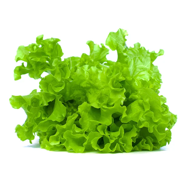 Зеленые листья салат изолирован на белом фоне — стоковое фото