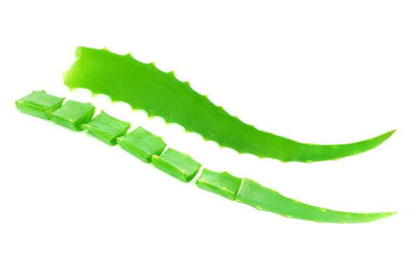Groene blad aloëVera geïsoleerd op wit — Stockfoto