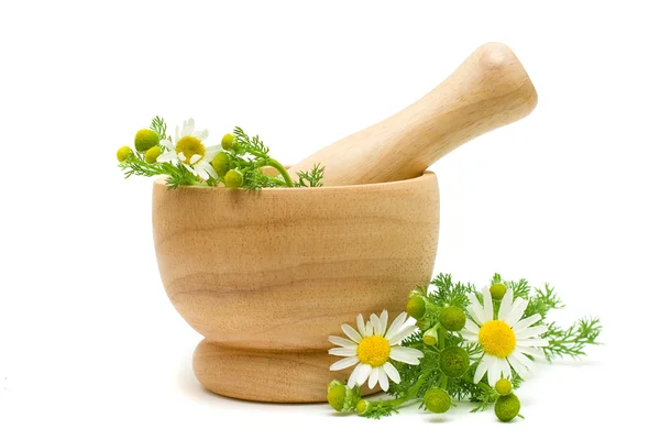 Medicina Flores de camomila - Tratamento à base de plantas — Fotografia de Stock