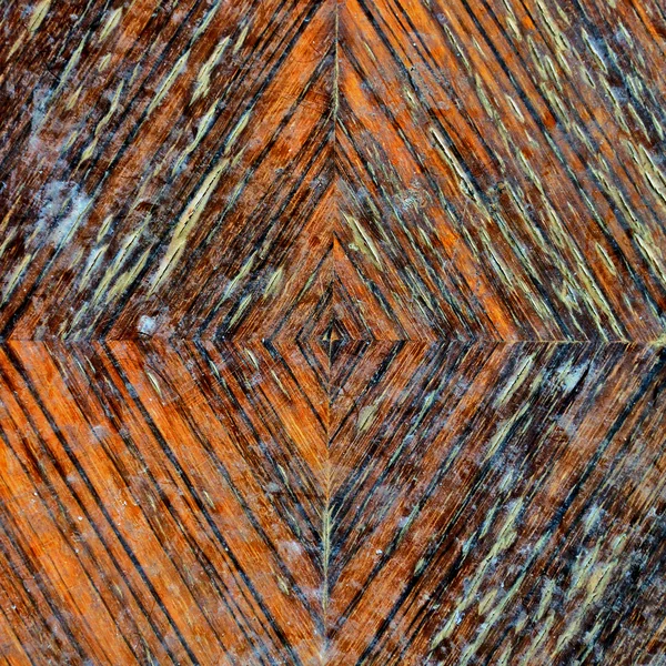 Візерунок кілець для росту деревини — стокове фото