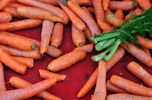 stock image Carrots and dill vegetables background