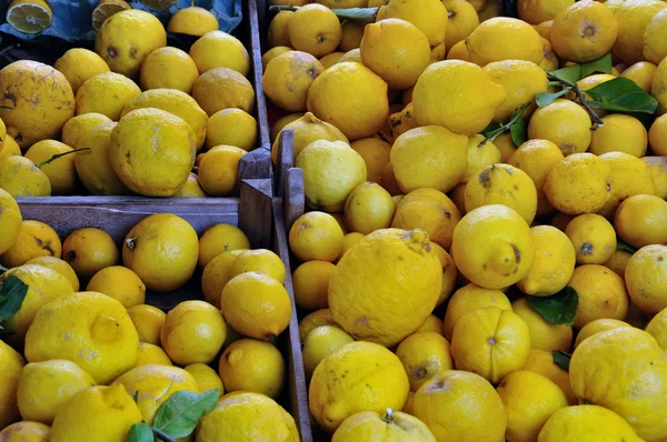 Sitruunat laatikoissa tausta — kuvapankkivalokuva