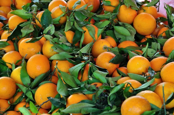 Orangen Obst Hintergrund — Stockfoto