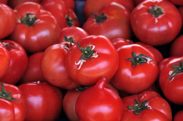 Tomates rouges légumes fond — Photo