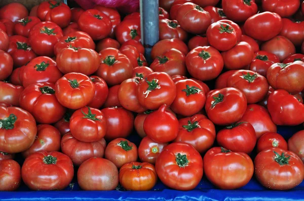 Tomates fraîches légumes fond — Photo