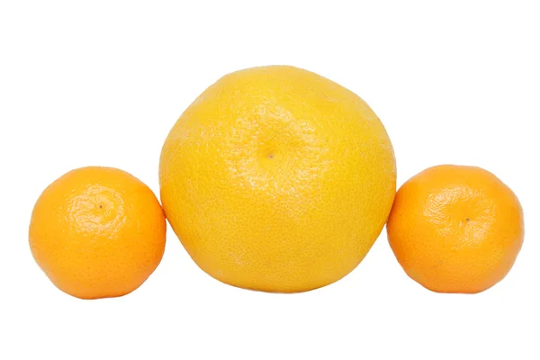 Orange and mandarins — Stock Photo, Image