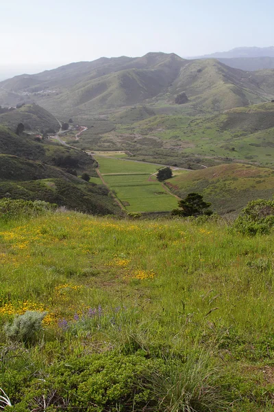 Tepeler ve çayır — Stok fotoğraf