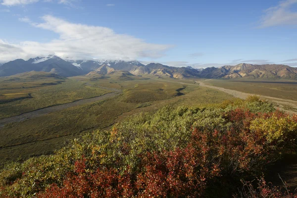 Denali landscape — Stock Photo, Image