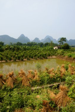 Yangshuo peyzaj