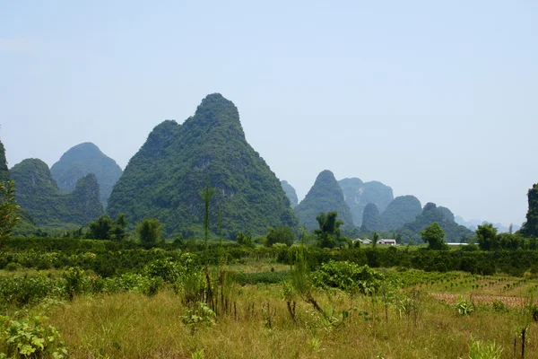 stock image Yangshuo lanscape