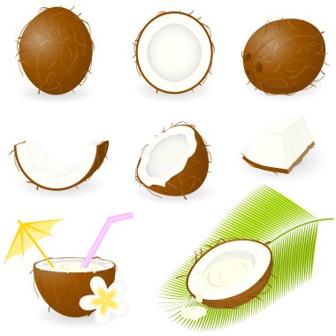 Icon Set Coconut clipart