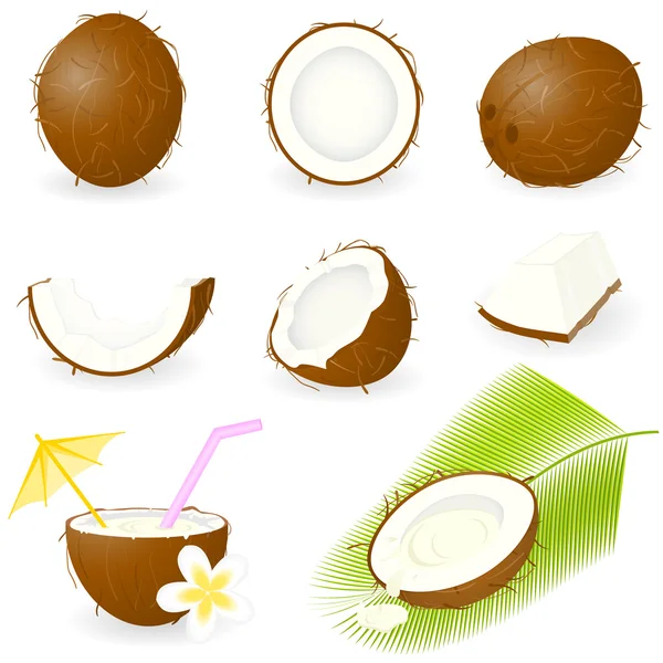 Ikonuppsättning kokos — Stock vektor