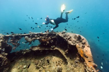 Shipwreck and diver clipart
