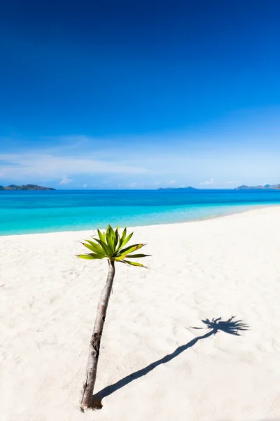Tropikalnej plaży malcapuya — Zdjęcie stockowe
