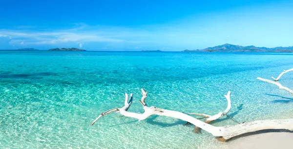 Panorama de playa tropical — Foto de Stock