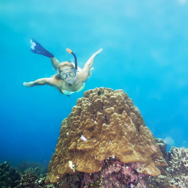 Taucher unter Wasser — Stockfoto