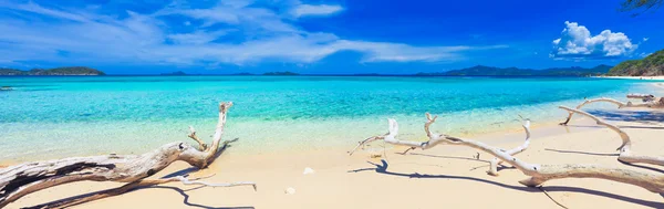 Tropická pláž malcapuya — Stock fotografie