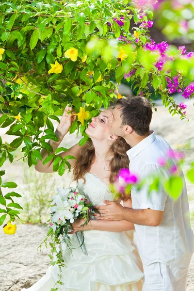 Matrimonio tropicale — Foto Stock