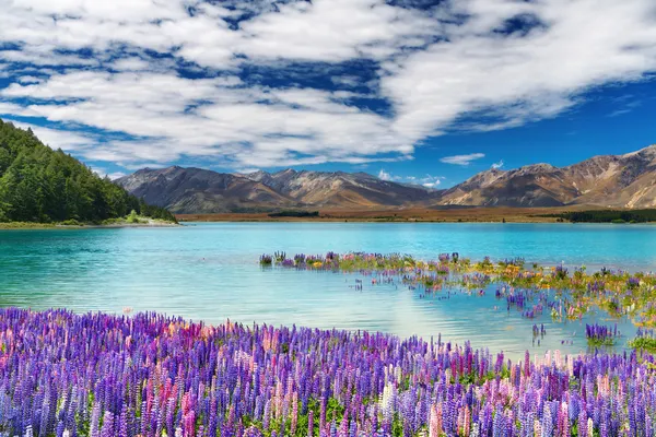 Jezioro Tekapo, Nowa Zelandia — Zdjęcie stockowe