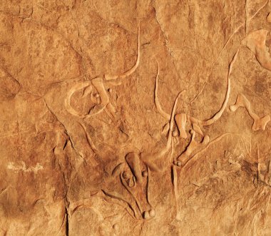 Ancient rock carving of a crying cow, Algeria clipart