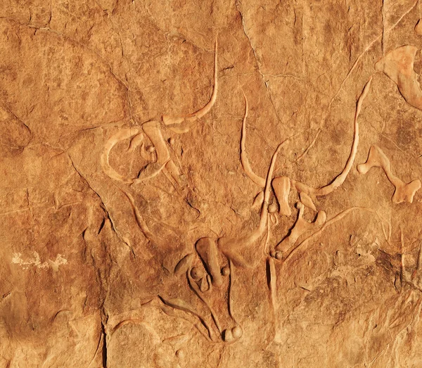 Escultura rupestre antiga de uma vaca chorando, Argélia — Fotografia de Stock