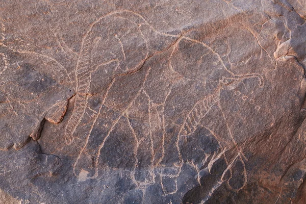 Rock engraving in Sahara Desert — Stock Photo, Image