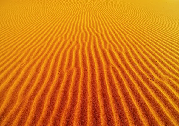 Woestijn achtergrond — Stockfoto