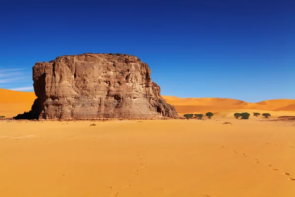 Έρημο Σαχάρα, Αλγερία — Φωτογραφία Αρχείου