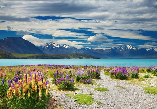 Tekapo Gölü, Yeni Zelanda — Stok fotoğraf