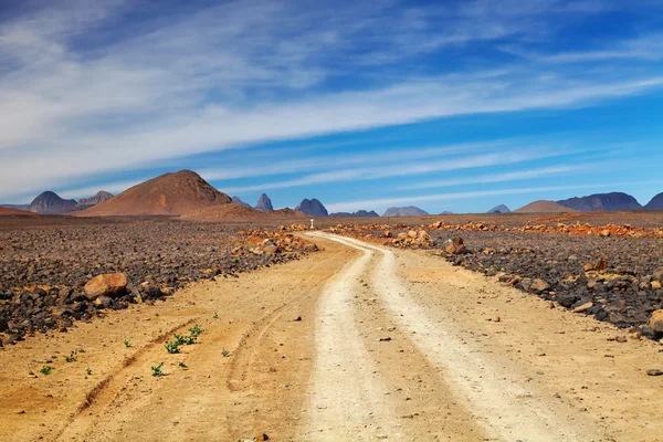 Weg in de Saharawoestijn — Stockfoto