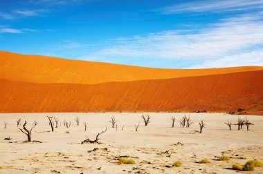 Namib Desert clipart