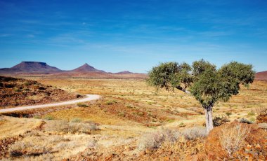 Kalahari Desert, Namibia clipart