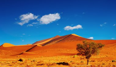 Namib Desert clipart