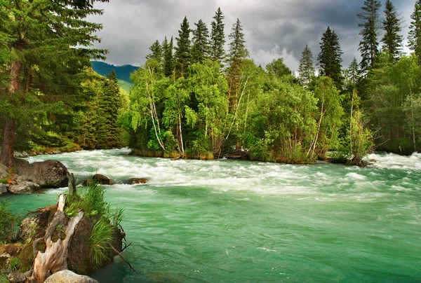 Mountain river Kucherla — Stock Photo, Image