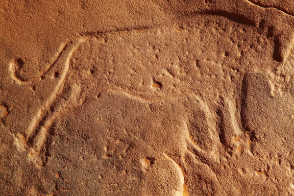 stock image Ancient rock engraving in Sahara Desert