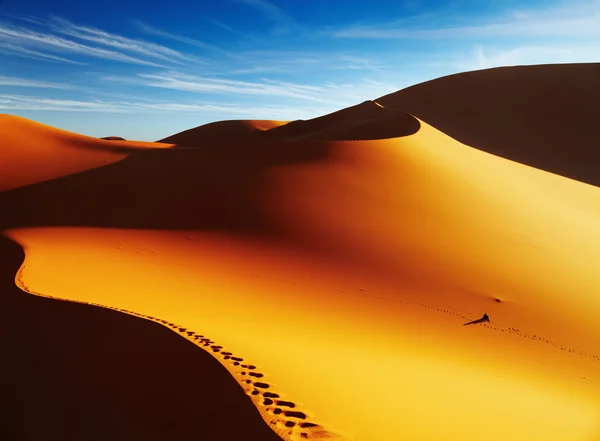 Duna de areia ao nascer do sol, Deserto do Saara — Fotografia de Stock
