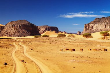 Sahara Desert, Algeria clipart