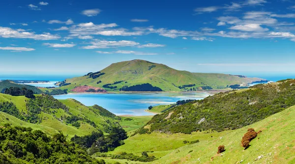 Прибрежный вид, Новая Зеландия — стоковое фото