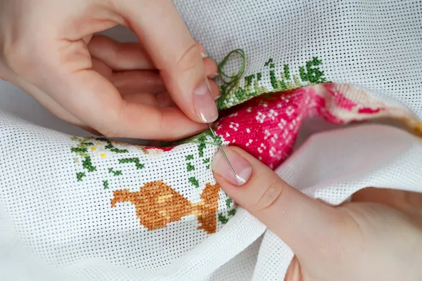 Cross-stitching — Stock Photo, Image