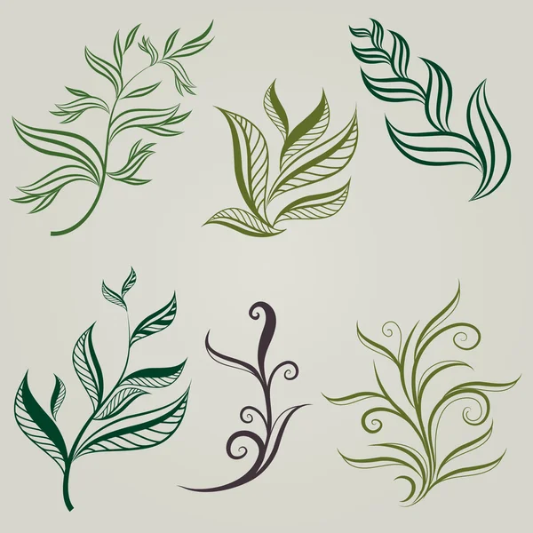 Ensemble vectoriel d'éléments de conception de feuilles — Image vectorielle