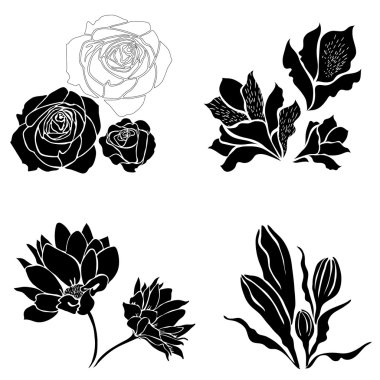 Siyah çiçek tasarım elementleri kümesi