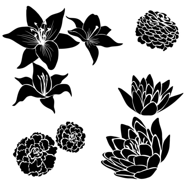 Набор элементов дизайна черного цветка — стоковый вектор
