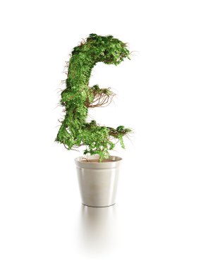 Growing pound tree clipart