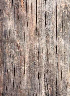 Wood texture clipart