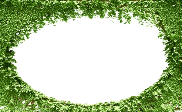 Green leaves frame background — Stock Photo, Image